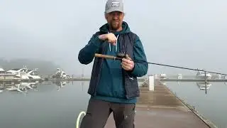 19.09.2024 🇫🇮