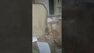 Выживание бича - как бесплатно избавиться от болящего зуба