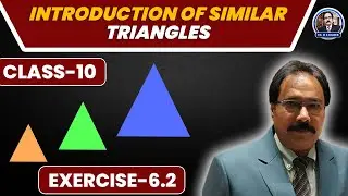 Proof of BPT & Converse and Ex Qs.| Class 10 Mathematics | Dr. Me Haider | Exercise 6.2 Explained!