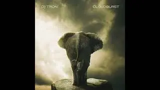 DJ Tron