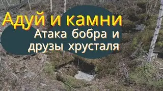 Геологоразведка на Адуе. Атака бобра и хрустальные друзы.