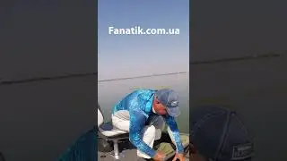How to bait a hook with a worm