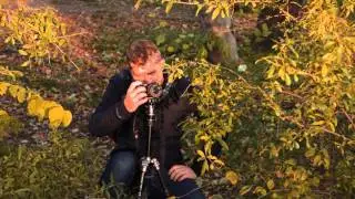Autumn Lx100 2015