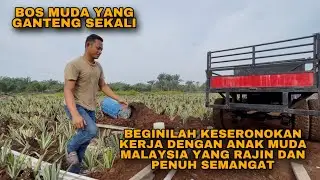 BEGINILAH KESERONOKAN KERJA DENGAN ANAK MUDA MALAYSIA YANG RAJIN DAN PENUH SEMANGAT
