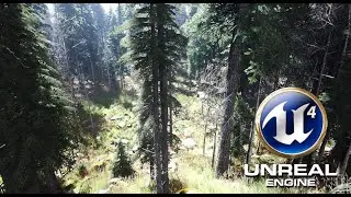 Unreal Engine 4 - The Forest / HDRI Sky Light