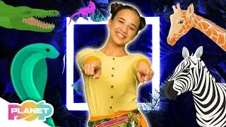 Let's Go To The Zoo Song 🦒🐊 | ESL Songs | English For Kids | Planet Pop | Learn English