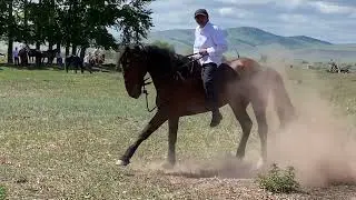 За кадром. Скачки Верх Аскиз 01.06.2024