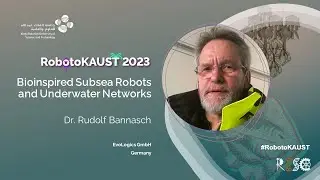 Bioinspired Subsea Robots and Underwater Networks