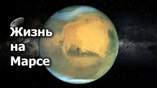 На Марсе обнаружена настоящая жизнь!  Интересные факты о Марсе которые вы не знали!