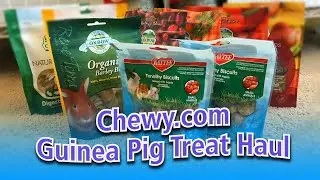 Guinea Pig Treat Haul from Chewy