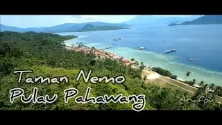 Taman Nemo || Pulau Pahawang || FPV Cruising