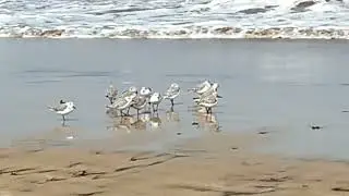 Сегодня на Лас Кантерасе.