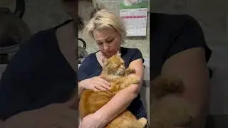 Ставь❤️#любовькживотным