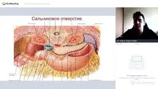 Topographic anatomy. Omental bursa. Lesser and greater omentum.