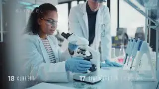 Laboratory 6: Students - Stock Footage Collection