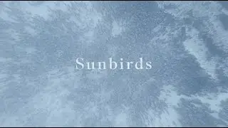 Arc'teryx Presents: Sunbirds - TRAILER