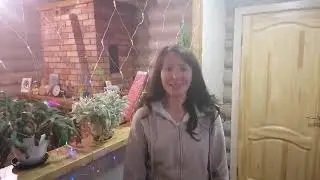 Екатерина Бабок