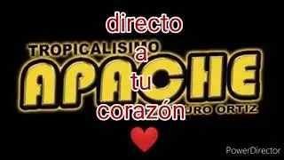 tropicalisimo apache enamorado letra