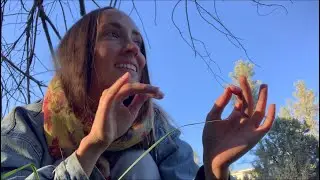 Light Language River Transmission and Deer Blessing