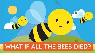 What If ALL The Bees In The World DISAPPEARED?