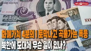 [Why Times 정세분석 3042] 화폐가치 4분의 1 토막나고 곡물가는 폭등, 북한에 도대체 무슨 일이 있나? (2024.11.29)