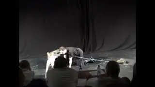Этюд. Наблюдение за животными. Гитис