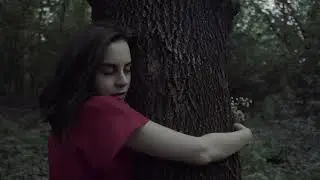 FilmConvert