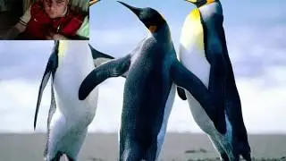 ПОДАЙТЕ ИДЕЮ ДЛЯ СТРИМА.