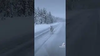 Поездка на норд кап