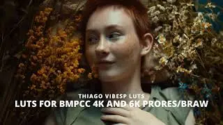 Professional Cinematic LUTs Pack for BMPCC 4K & 6K | 2-in-1 Super LUTs (10 Presets)