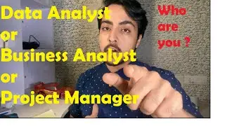 Data Analyst or Business Analyst or Project Manager 2020 | What is the difference? What do you want?