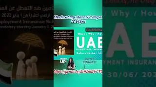 UAE UNEMPLOYMENT INSURANCE 