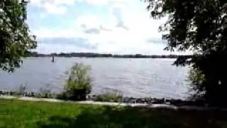 Sommer an der Elbe 2009