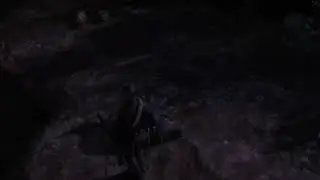 RDR2 Angry Pig Hunting