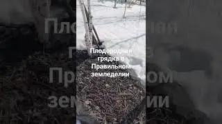 Живая правильная урожайная грядка