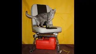 Наше первое впечатление о кресле от Polar Bird