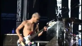 Red Hot Chili Peppers - Californication - Live Japan 2004