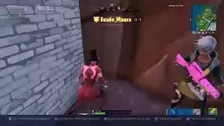 Fortnite con UN COMPA