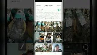 Tik Tok Amplify. Стоит ли подключаться?