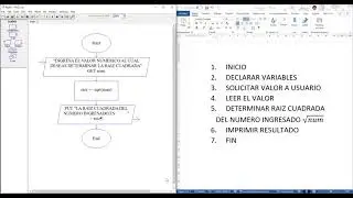 EJEMPLO DIAGRAMA DE FLUJO EN RAPTOR 