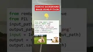 Remove image backgrounds using python 