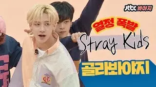 [HD] Collection of passionate 'Stray Kids', who've just made their first year since debut