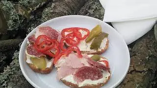 зимний пикник в лесу