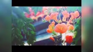 feeling lost and confused | lofi hip hop |