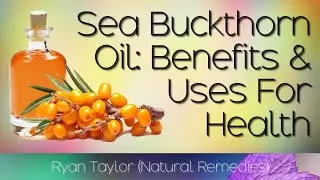 Sea Buckthorn: Benefits and Uses
