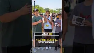 California Spangled Is a Type of What Animal?