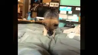 This will Make You Feel Better About Life 2
