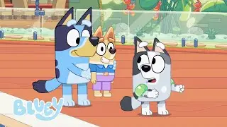 Baño de Navidad | Bluey Español Canal Oficial