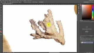 Werken met de toverstaf in Photoshop