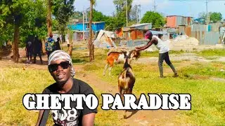 SEE why KENYANS are moving into this NAIROBI Ghetto